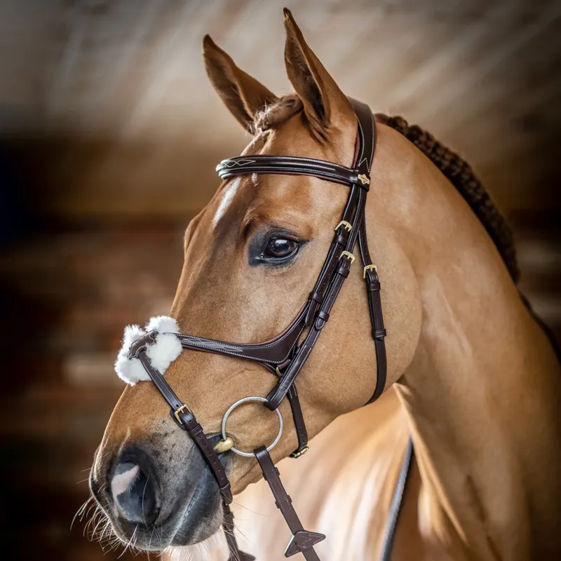 LeMieux Kudos Grackle Bridle - Chestnut
