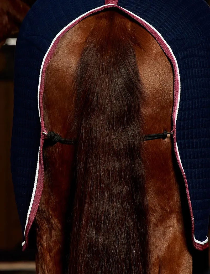 WeatherBeeta Thermocell Cooler Rug Standard Neck Navy/Burgundy-3