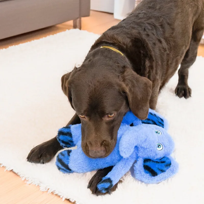 KONG Large Dog Toy Jungle Jamz Elephant - Blue-3