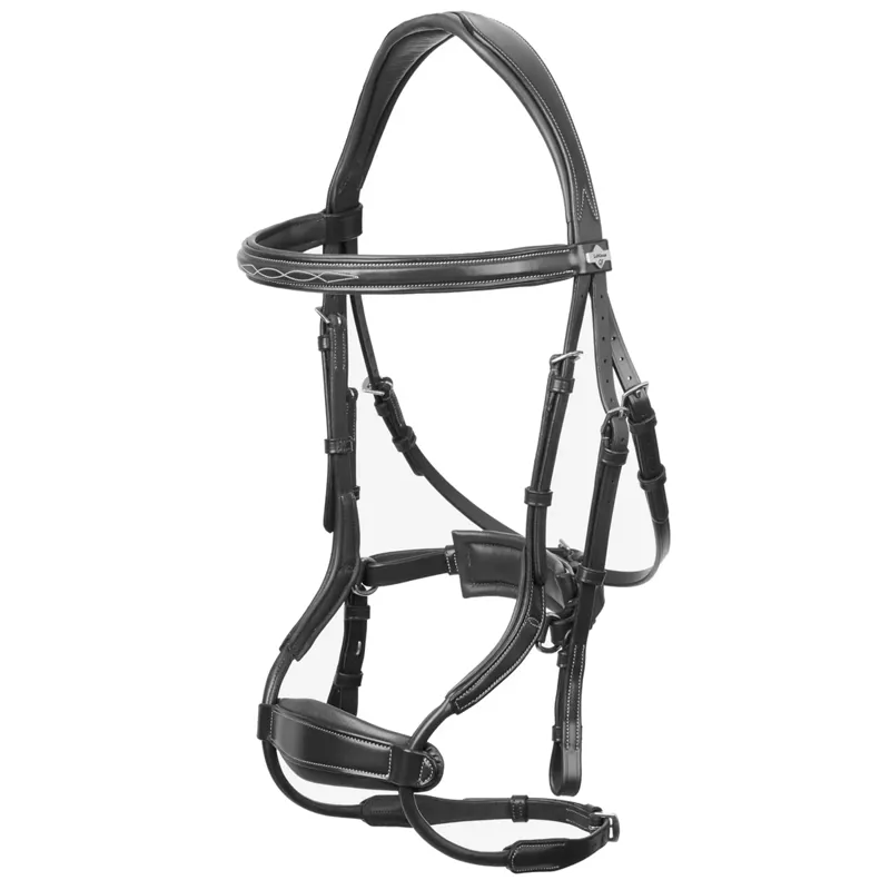 LeMieux Kudos Clear Arc Bridle - Black/Silver