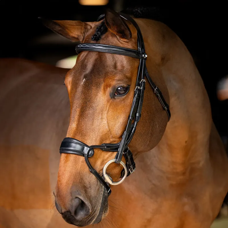 LeMieux Kudos Clear Arc Bridle - Black/Silver-1