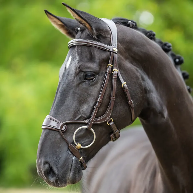 LeMieux Kudos Clear Arc Bridle - Havana/Brass-1