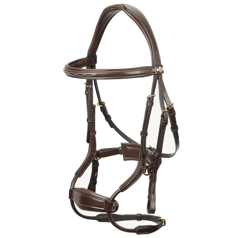 LeMieux Kudos Clear Arc Bridle - Havana/Brass