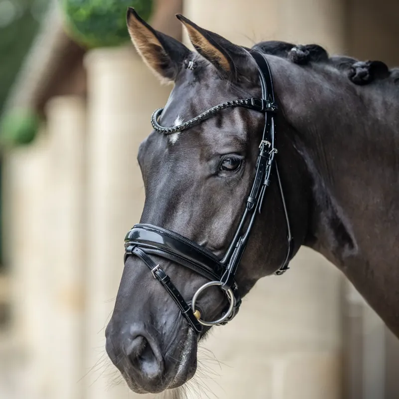 LeMieux Kudos Patent Dressage Bridle - Black-2