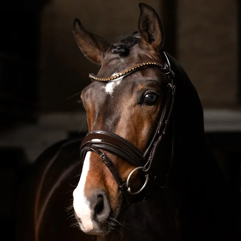 LeMieux Kudos Patent Dressage Bridle - Brown-3