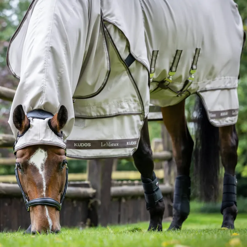 LeMieux Kudos Sweet Itch Rug - Stone-1