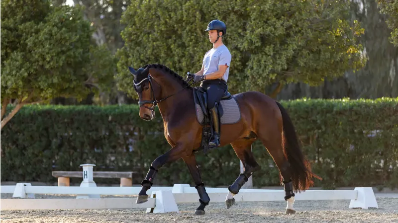 LeMieux Le Cool Grip Dressage Pad - Grey-2