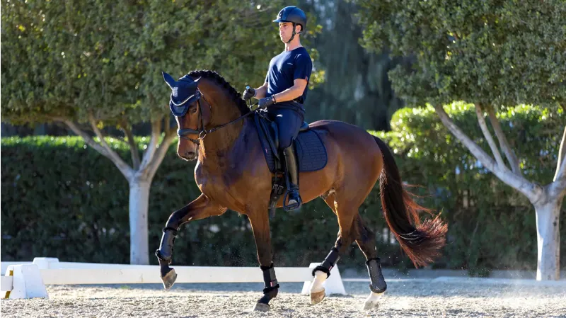 LeMieux Le Cool Grip Dressage Pad - Navy-2