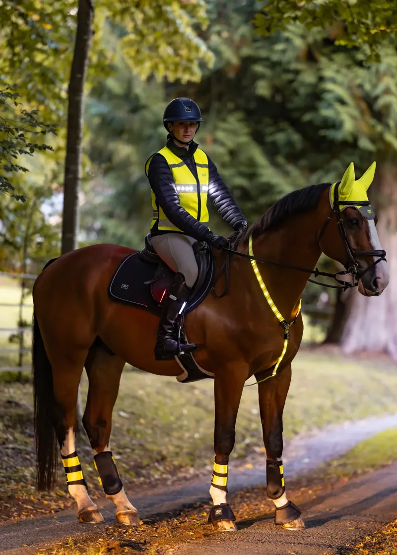 Woof Wear LED Neck Band - Hi Vis Yellow Medium/Large-1