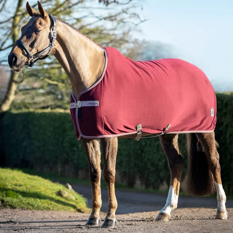 LeMieux Arika Jersey-Tek Fleece - Burgundy