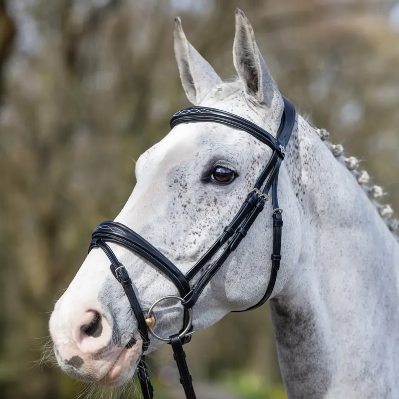 LeMieux Kudos Competition Flash Bridle - Black-1