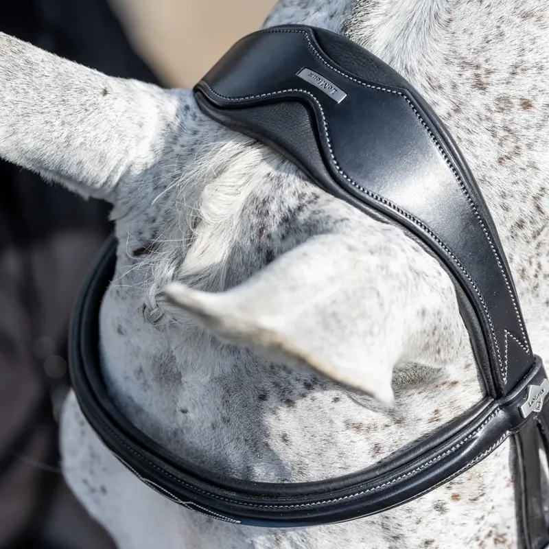 LeMieux Kudos Competition Flash Bridle - Black-3