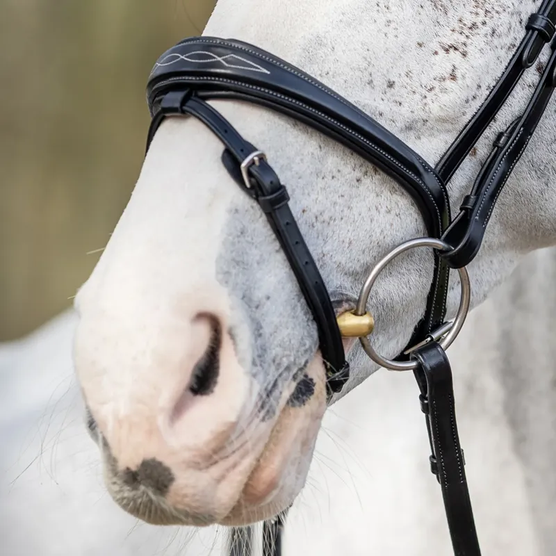 LeMieux Kudos Competition Flash Bridle - Black-2