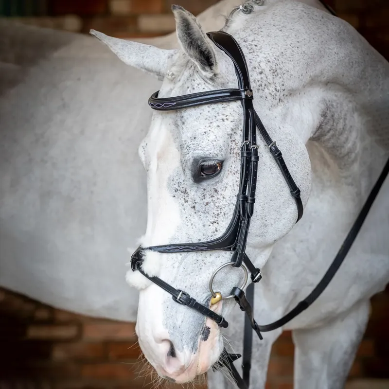 LeMieux Kudos Grackle Bridle - Black-1