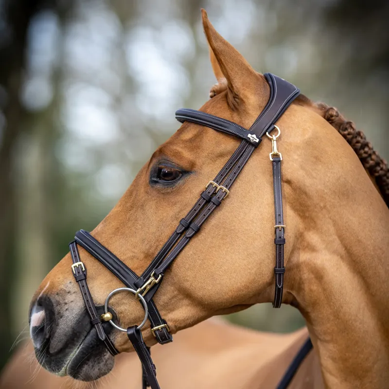 LeMieux Kudos Work Bridle - Brown-1