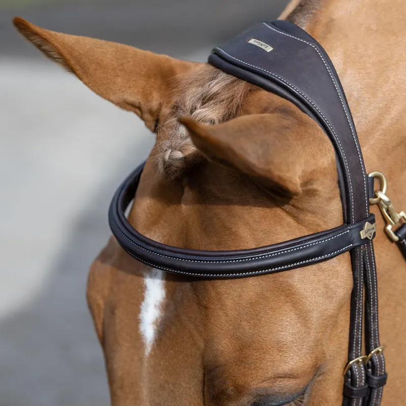 LeMieux Kudos Work Bridle - Brown-3