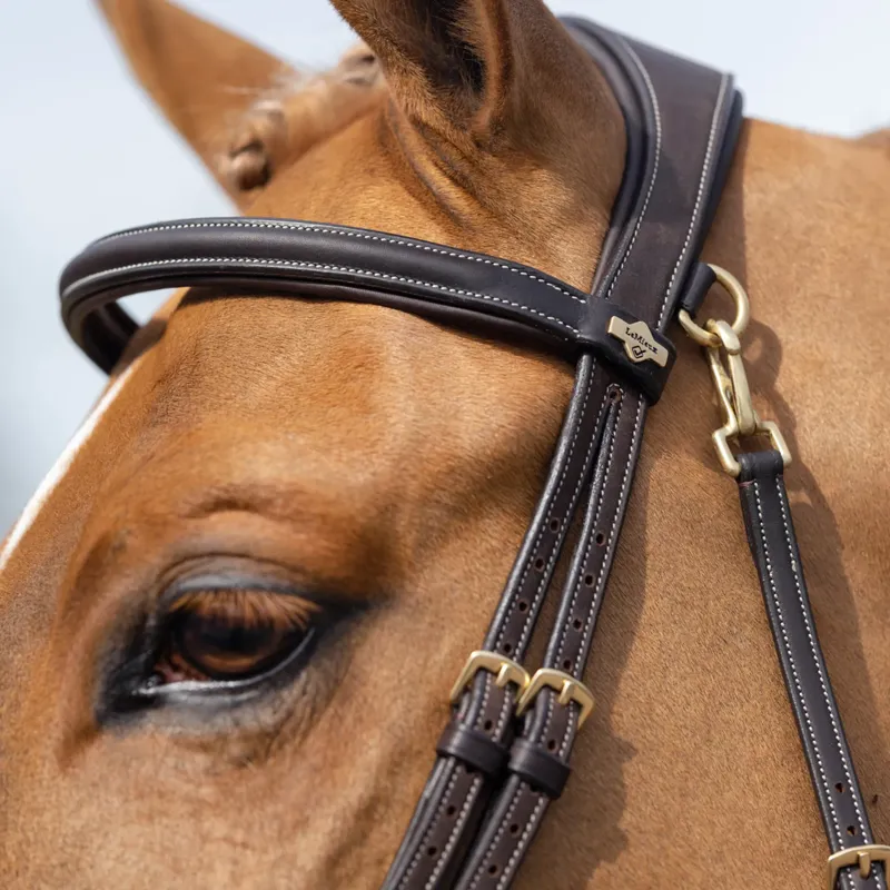 LeMieux Kudos Work Bridle - Brown-2