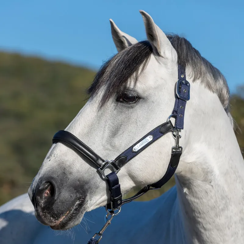 LeMieux Capella Headcollar - Navy-1