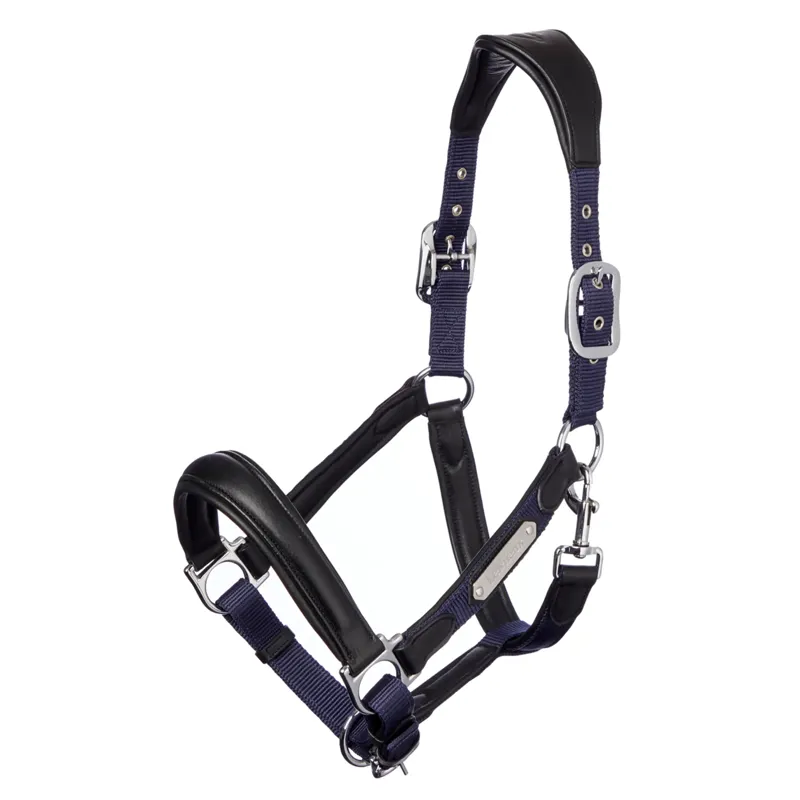 LeMieux Capella Headcollar - Navy