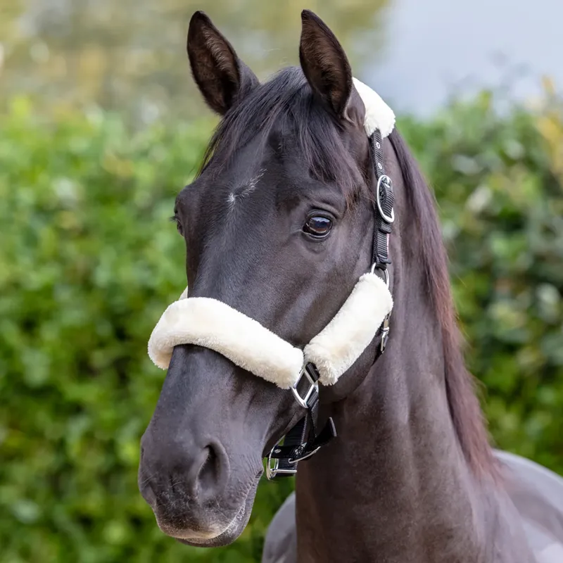 LeMieux Comfort Headcollar - Natural-1
