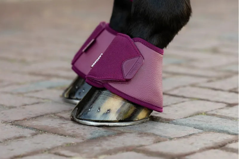 LeMieux Arika Over Reach Boots - Blackberry-1