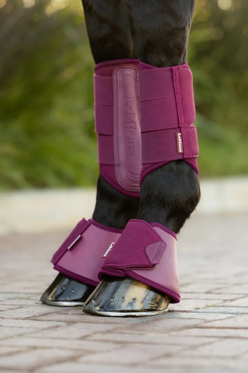 LeMieux Arika Over Reach Boots - Blackberry-2