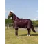 LeMieux Arika Ripstop 0g Turnout Rug - Bramble