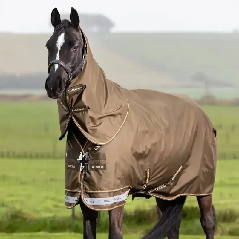 LeMieux Arika Ripstop 50g Turnout Rug - Alpine