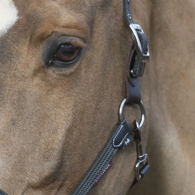LeMieux Break Away Headcollar - Black/Brown-2