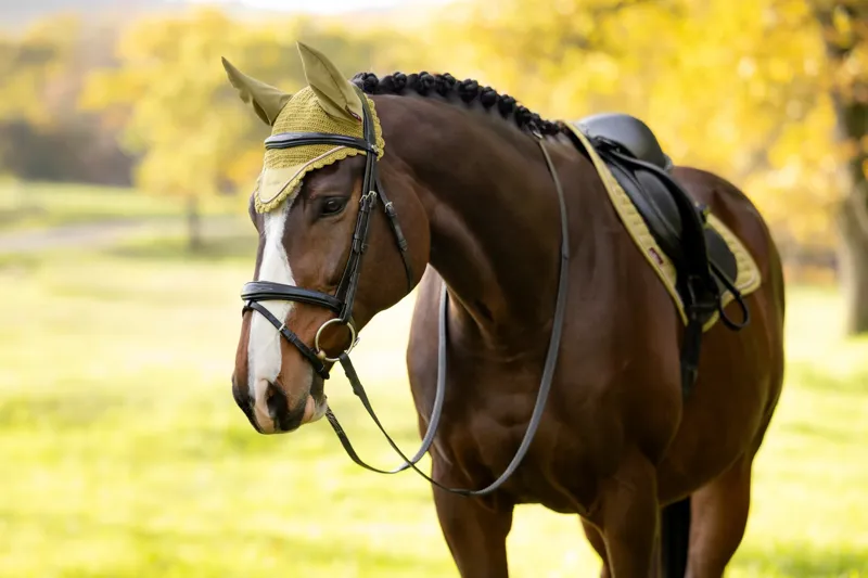 LeMieux Classic Fly Hood - Gooseberry-2
