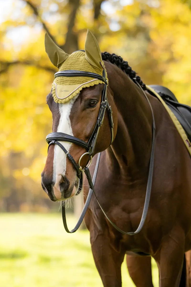 LeMieux Classic Fly Hood - Gooseberry-1