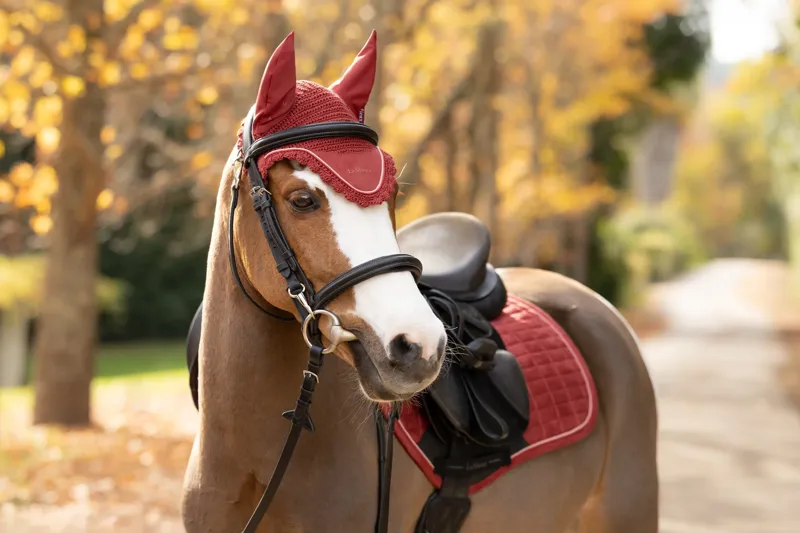 LeMieux Classic Fly Hood - Russet-4