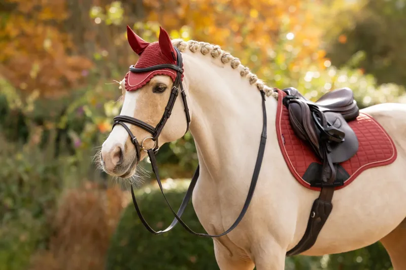 LeMieux Classic Fly Hood - Russet-3