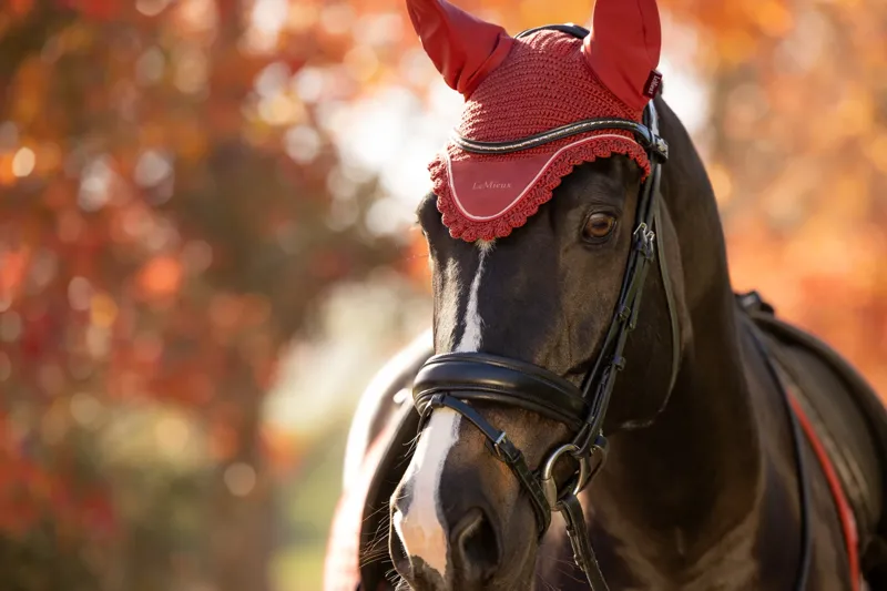 LeMieux Classic Fly Hood - Russet-2