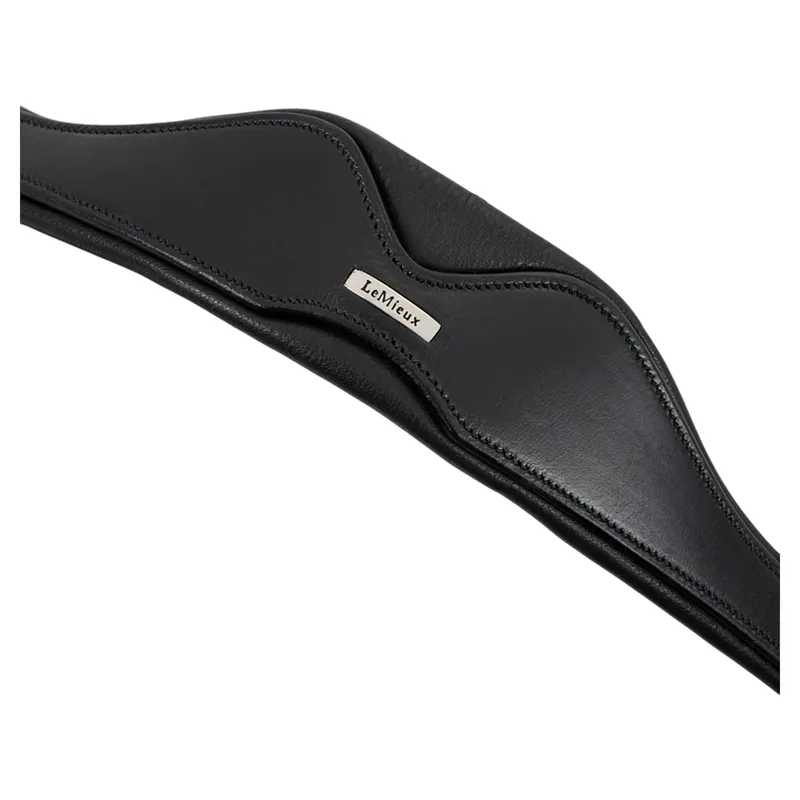 LeMieux Cross-functional Leather Cavesson - Black-1