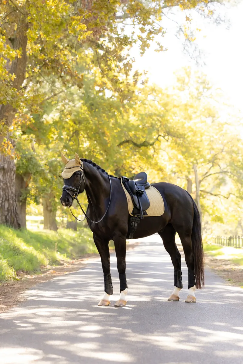 LeMieux Essence Dressage Square - Pear-6