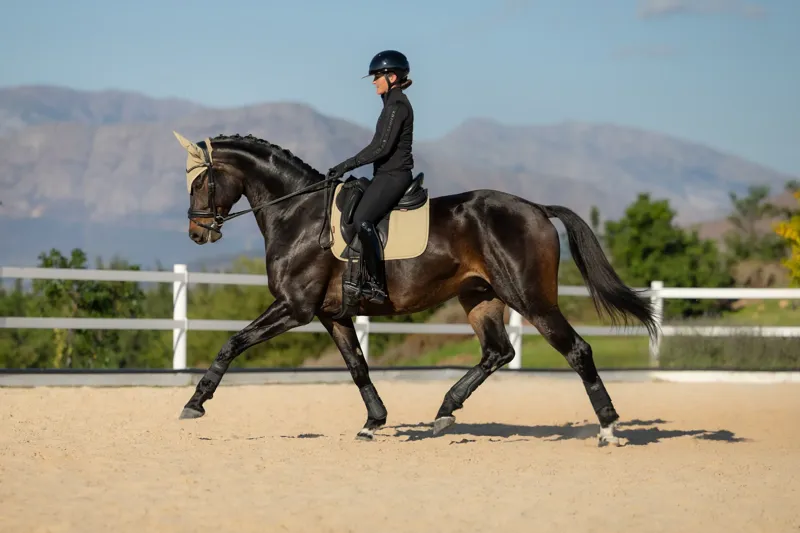 LeMieux Essence Dressage Square - Pear-4
