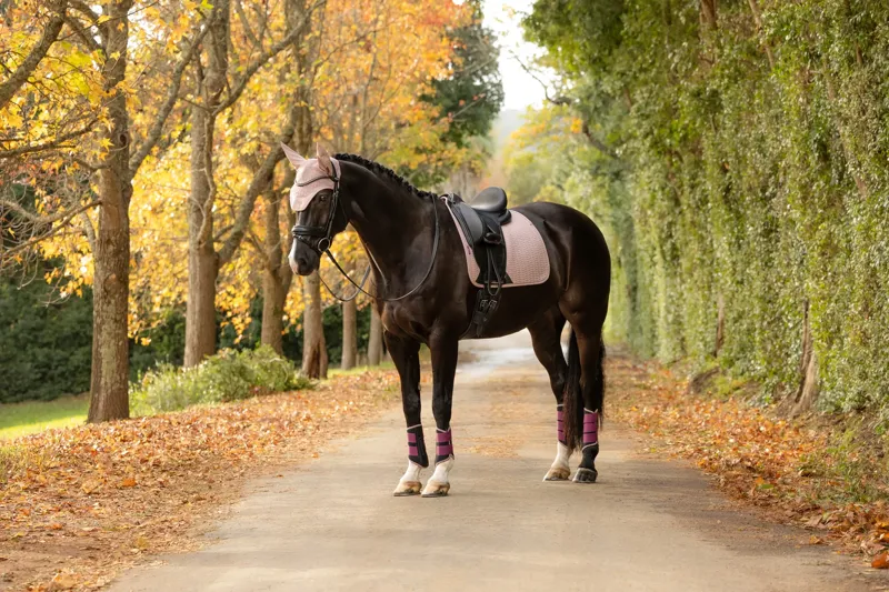 LeMieux Essence Dressage Square - Wild Rose-4