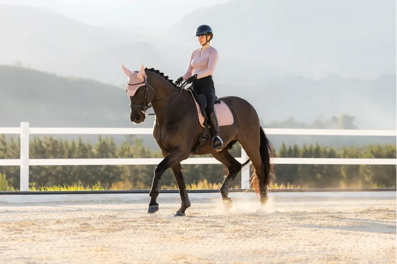 LeMieux Essence Dressage Square - Wild Rose-2
