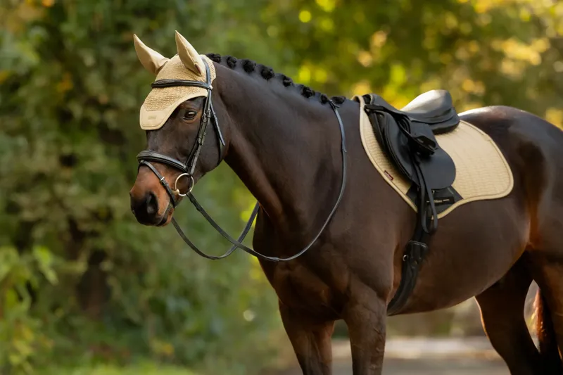 LeMieux Essence Fly Hood - Pear-2