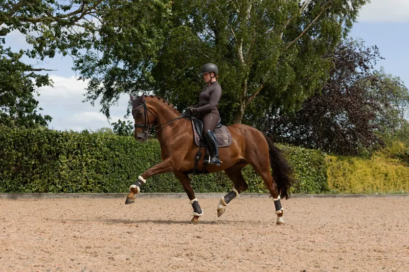 LeMieux Heritage Check Dressage Square - Cocoa-8