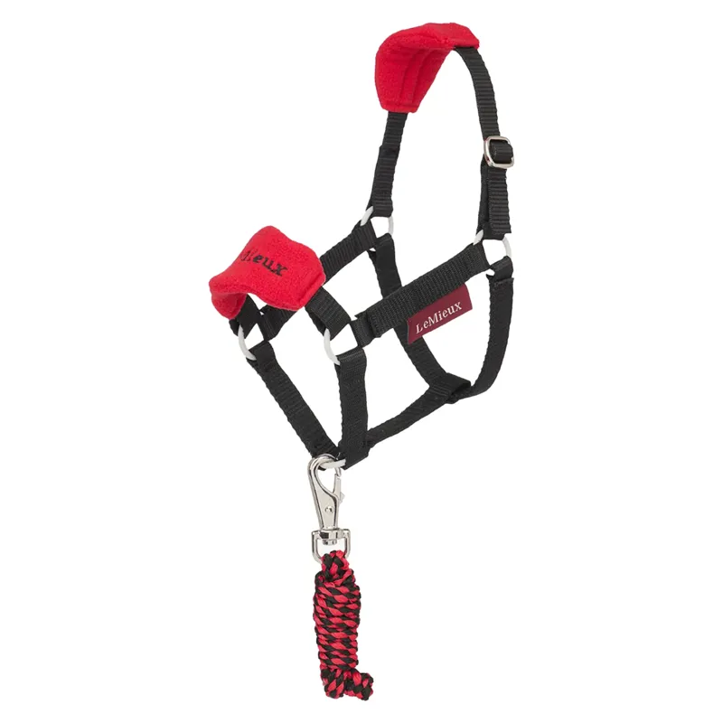 LeMieux Hobby Horse Vogue Headcollar and Leadrope - Chilli 