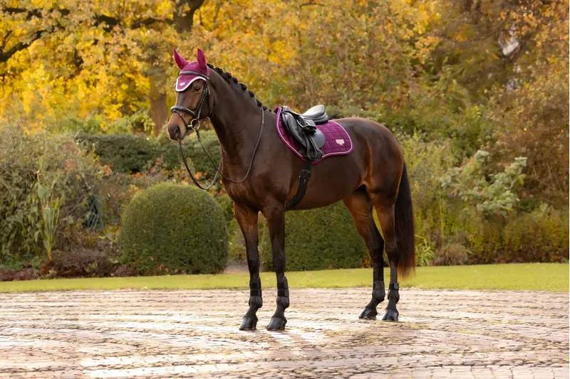 LeMieux Loire Classic Close Contact Square - Blackberry-2