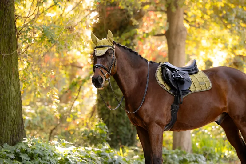 LeMieux Loire Classic Close Contact Square - Gooseberry-2