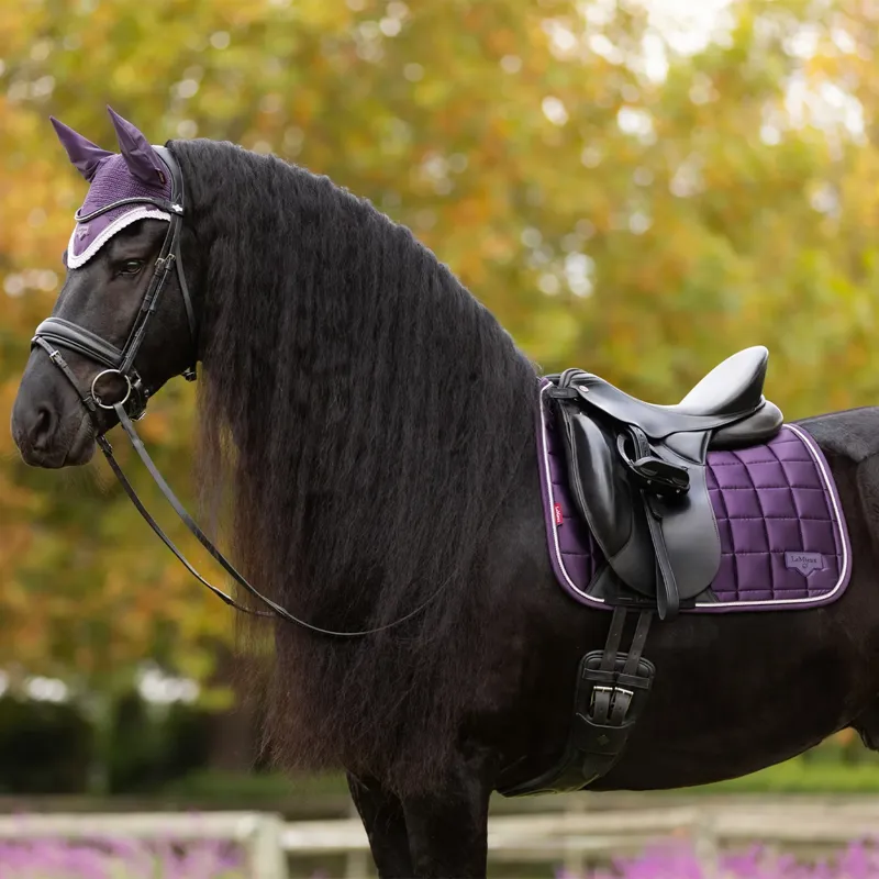 LeMieux Loire Classic Dressage Square - Juniper-1