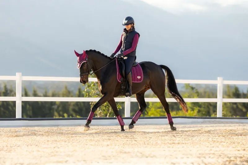 LeMieux Loire Classic Dressage Square - Blackberry-2
