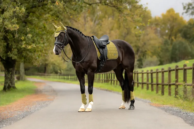 LeMieux Loire Classic Dressage Square - Gooseberry-2