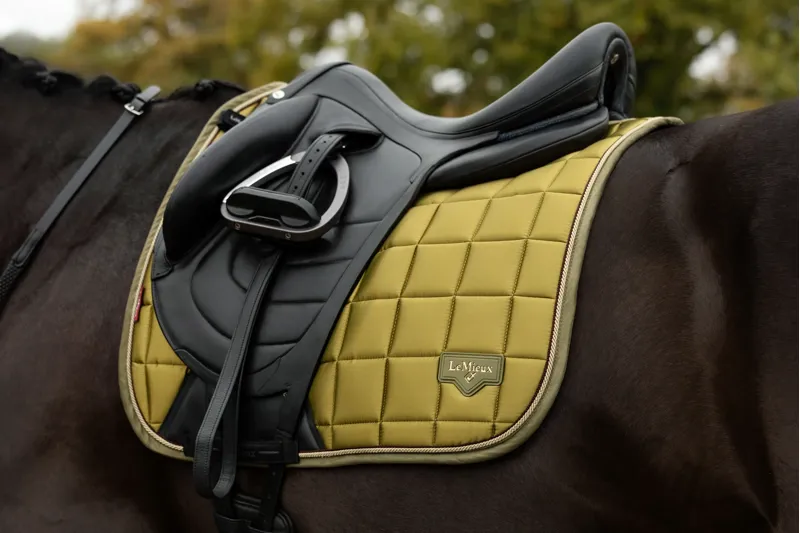 LeMieux Loire Classic Dressage Square - Gooseberry-1