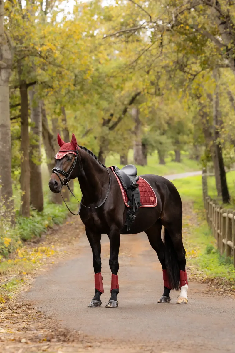 LeMieux Loire Classic Dressage Square - Russet-2