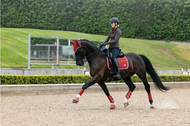 LeMieux Loire Classic Dressage Square - Russet-4